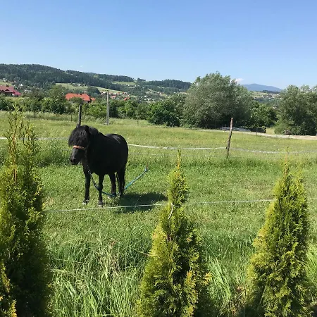 Domki, Apartament, Pokoj, Lodge Limanowa